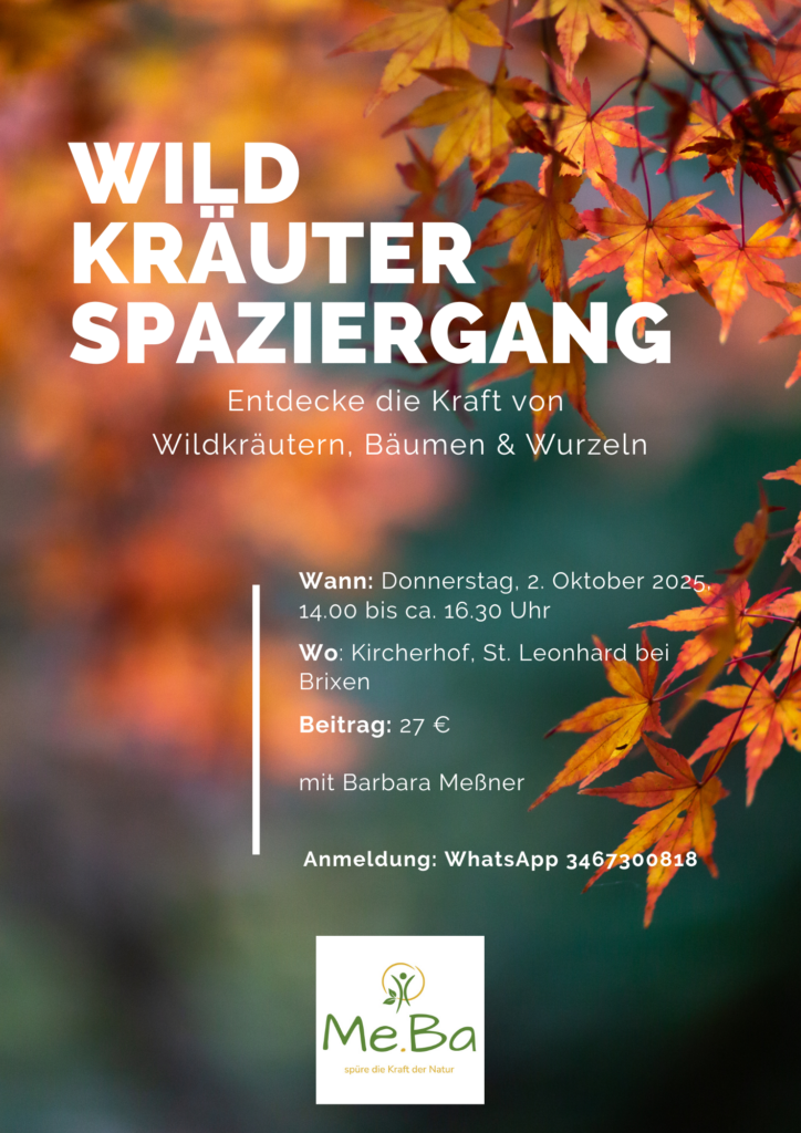 Wild Kräuter Spaziergang (2)
